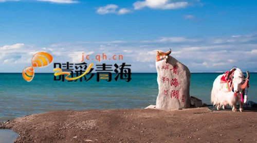 睛彩青海融媒体平台