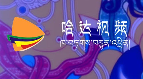 哈达视频